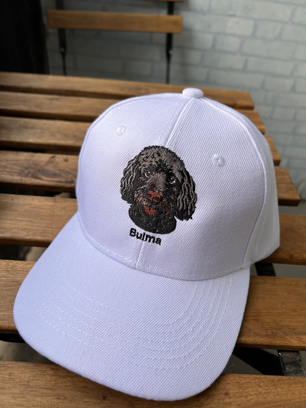 Promocion polera + jockey personalizado / 1 mascota